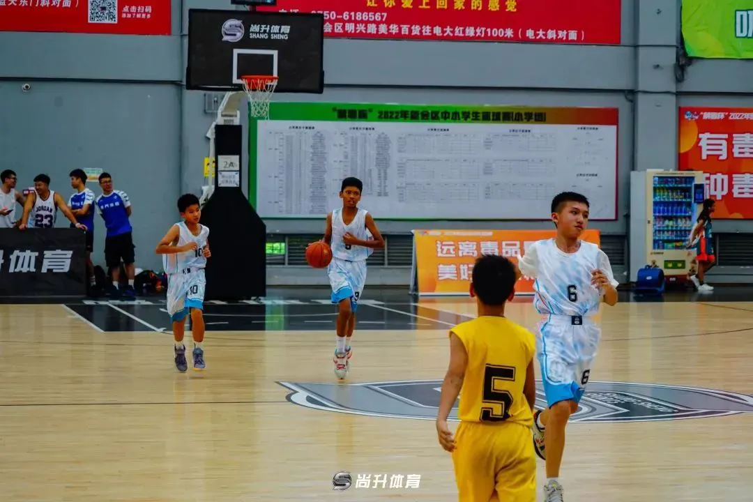 哪里能找到分卫的技术分析视频_1